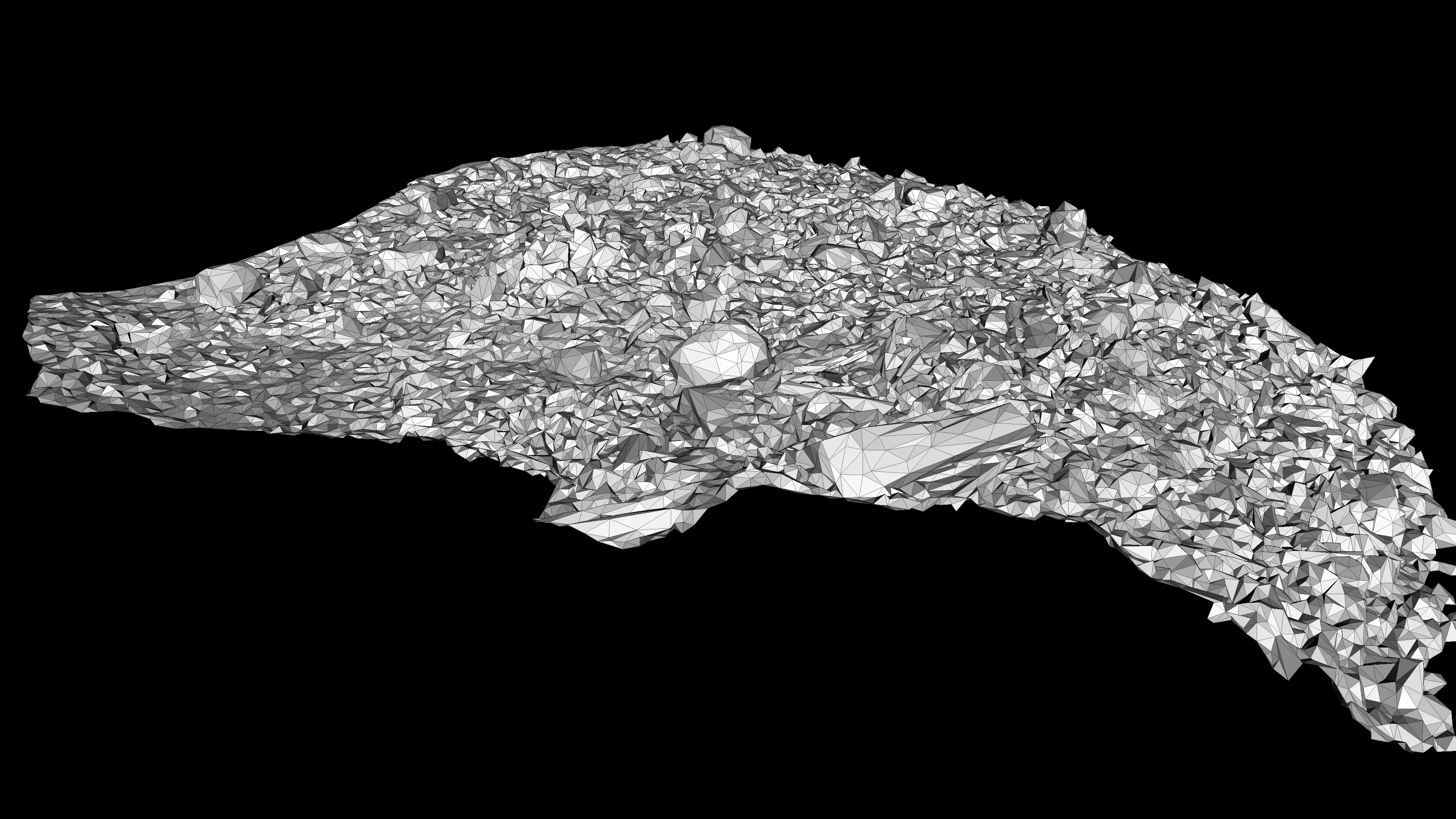 River bank with driftwood debris Low-poly 3D model_17