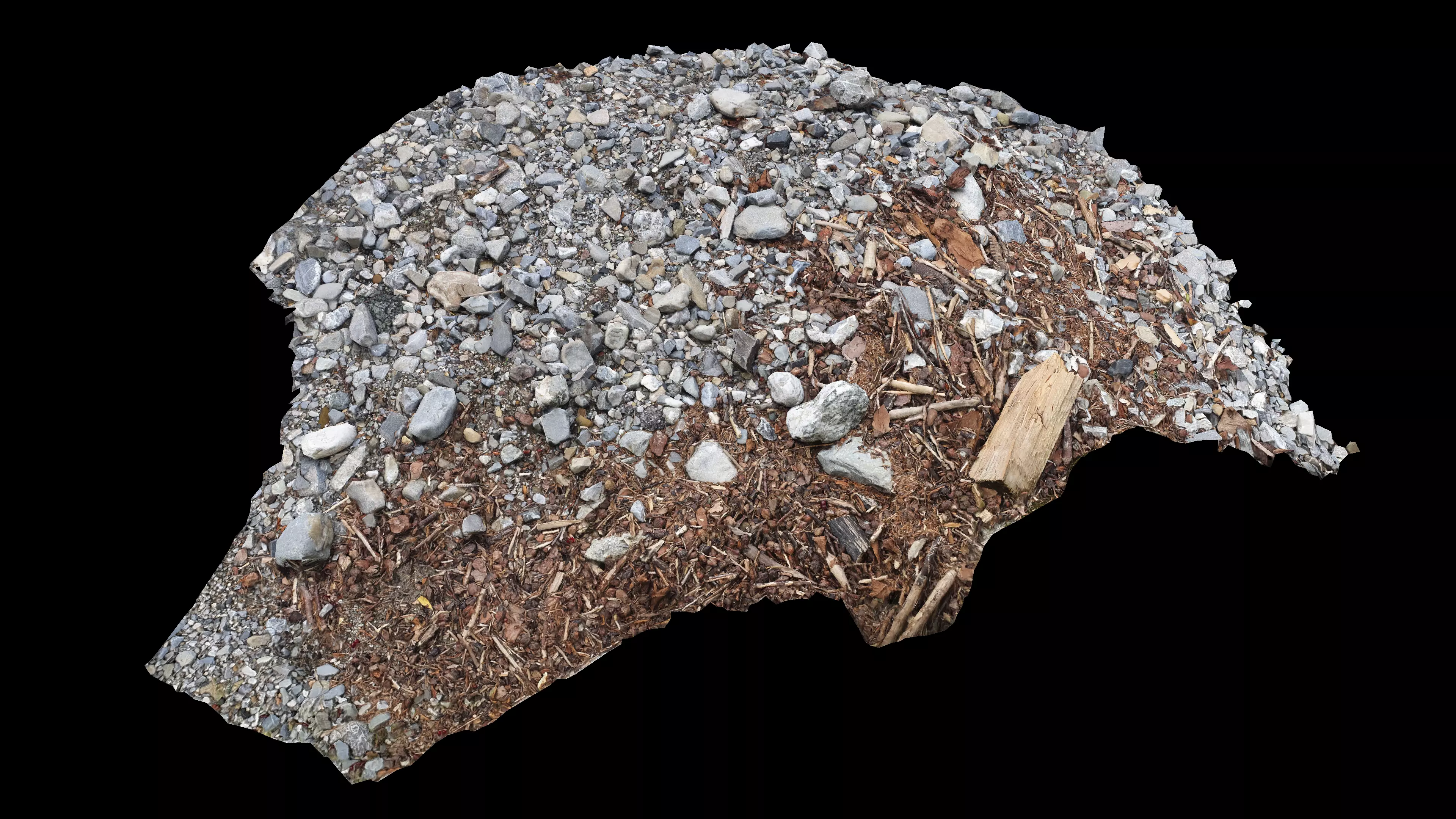 River bank with driftwood debris Low-poly 3D model_4