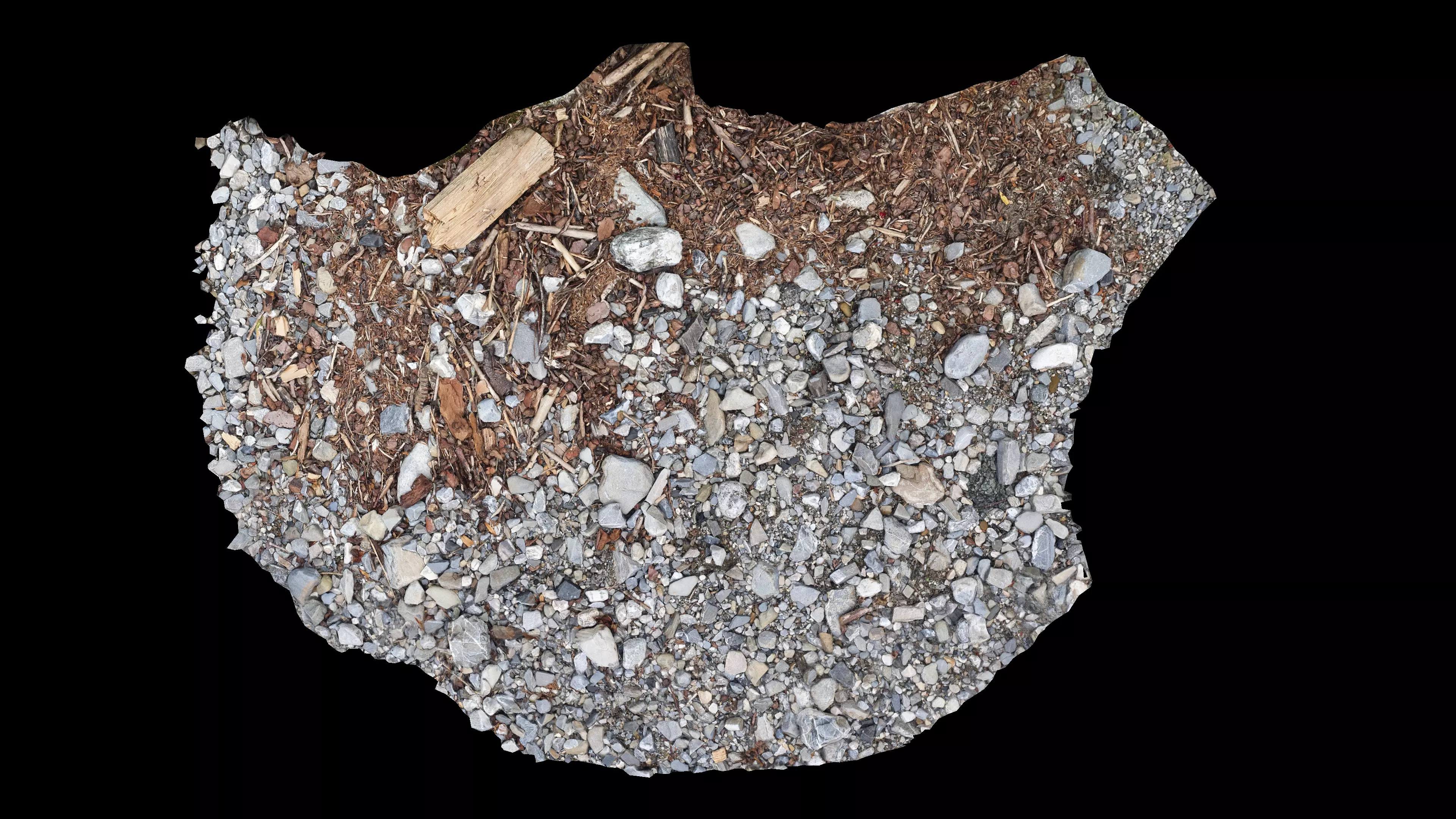 River bank with driftwood debris Low-poly 3D model_7