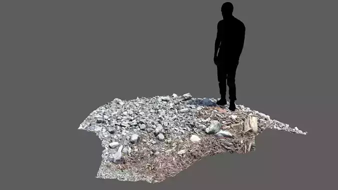 River bank with driftwood debris Low-poly 3D model