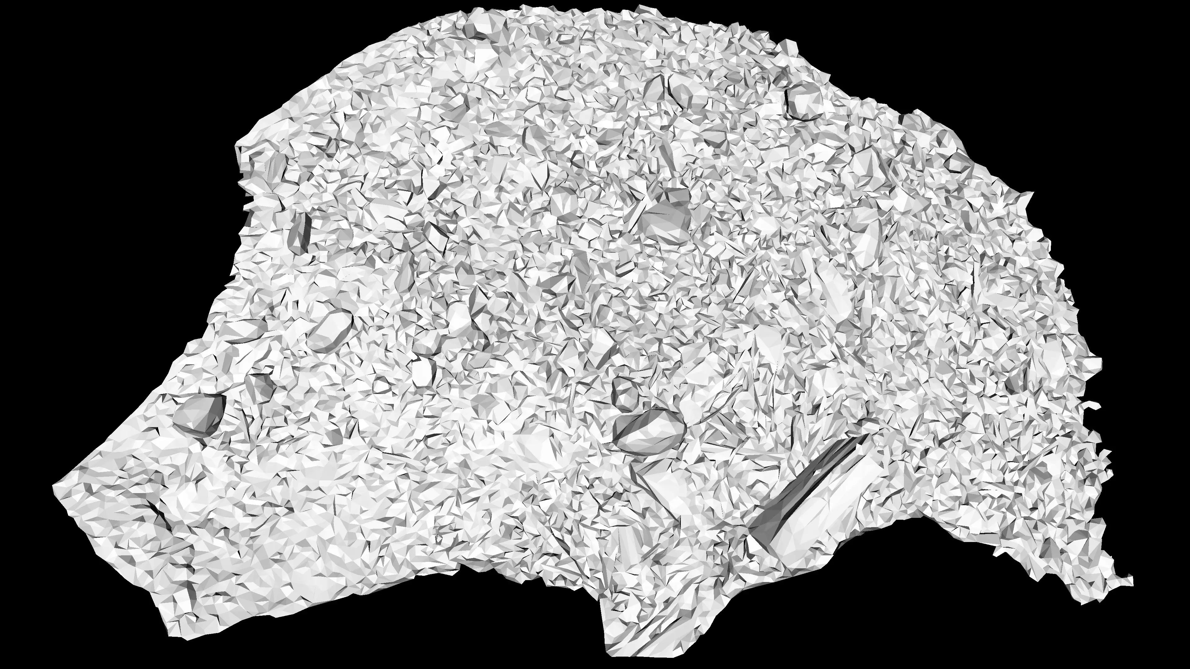 River bank with driftwood debris Low-poly 3D model_20