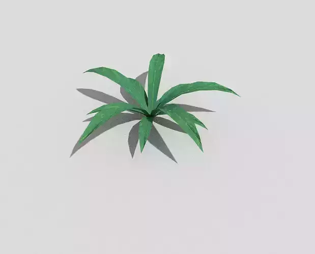 Plant