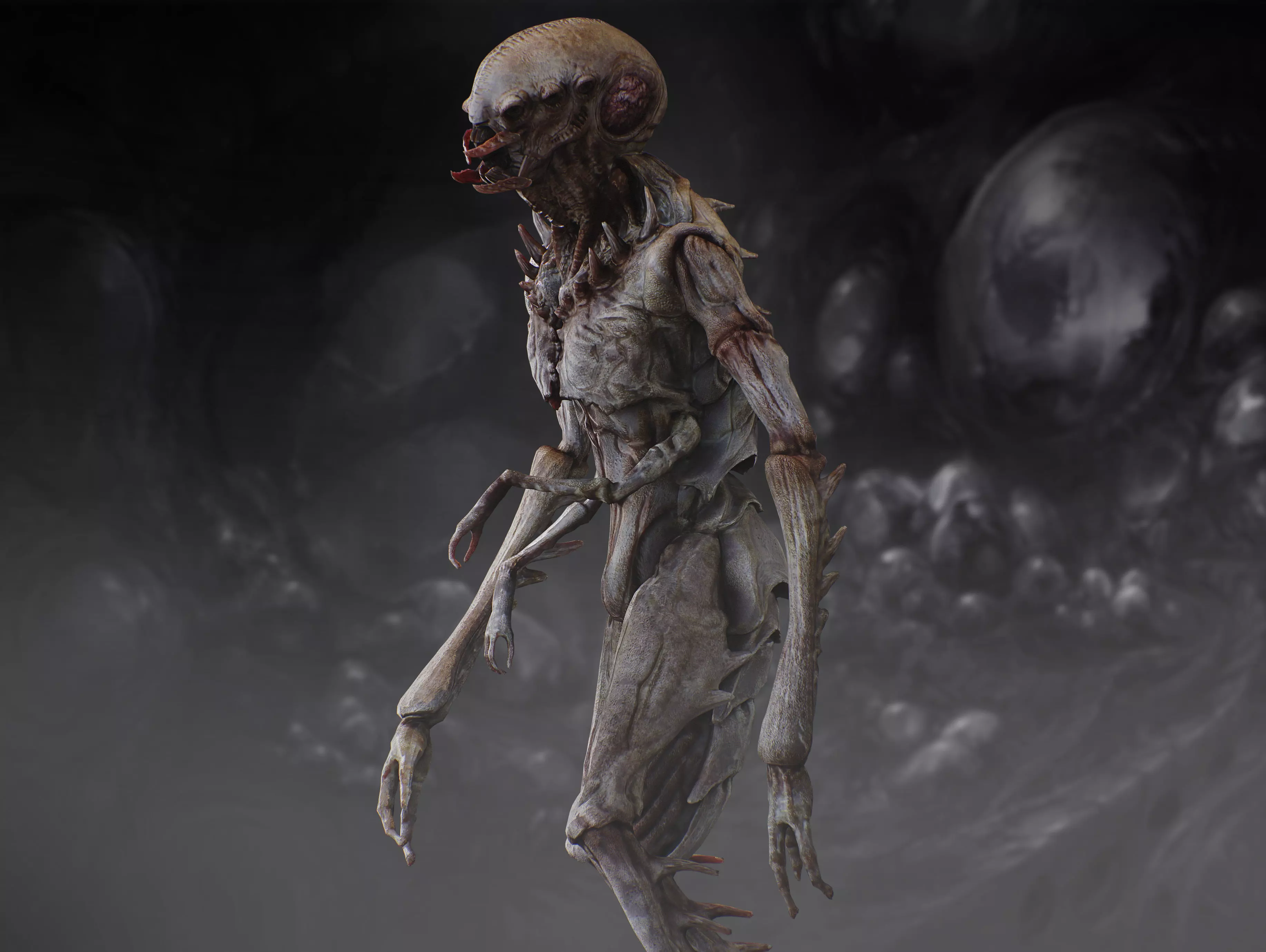 Insectamorph Low-poly 3D model_6