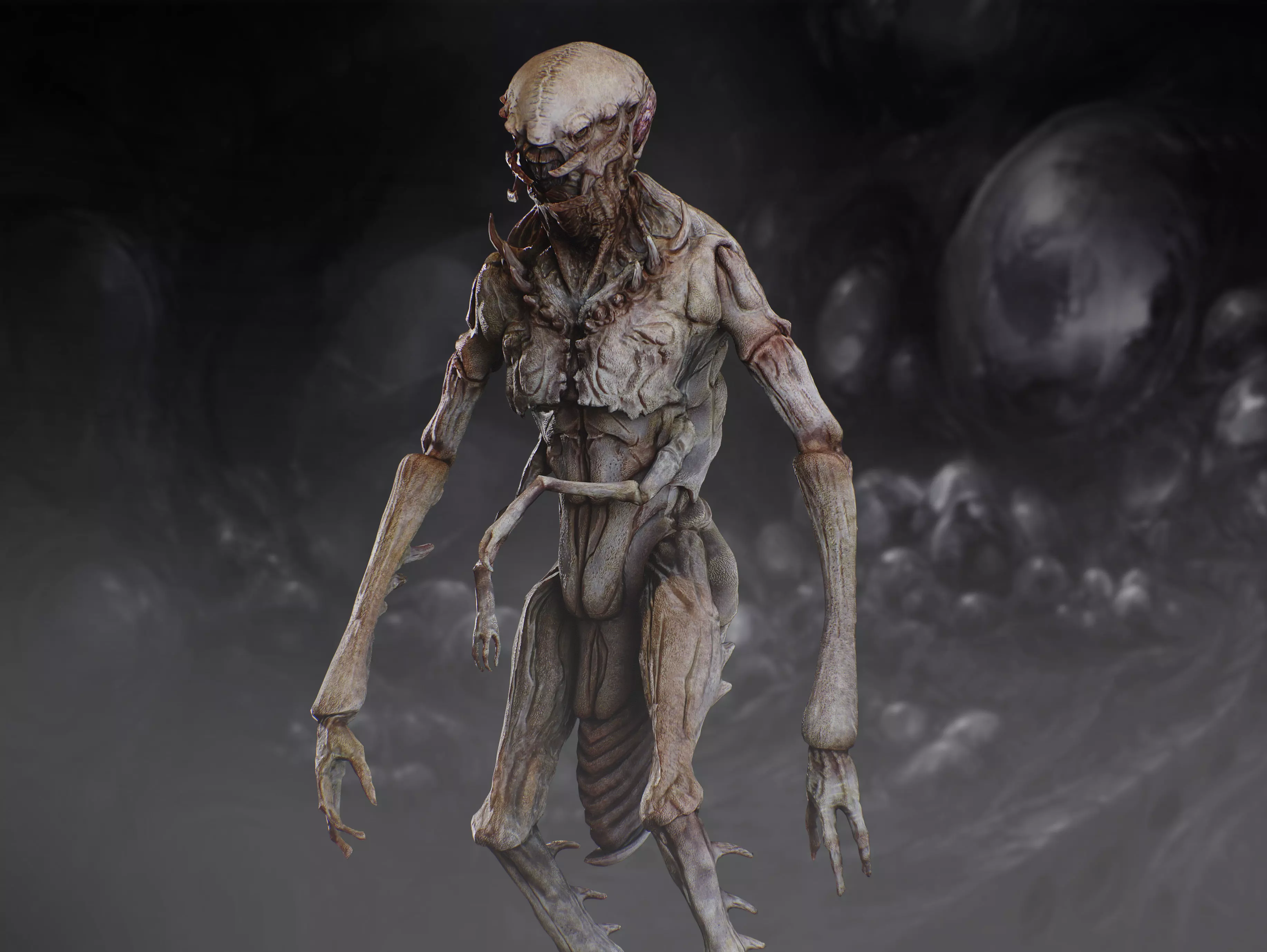 Insectamorph Low-poly 3D model_7