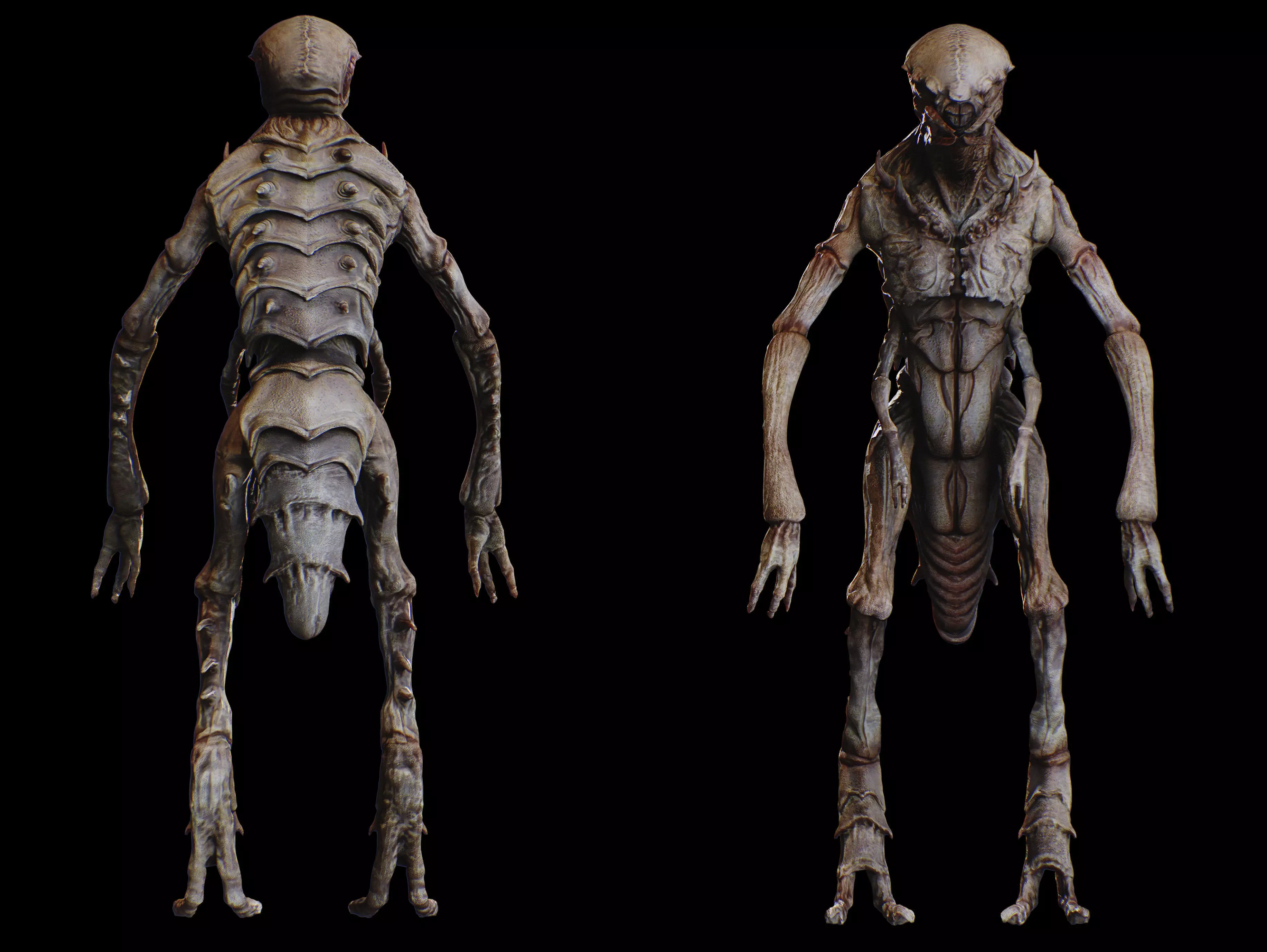 Insectamorph Low-poly 3D model_10