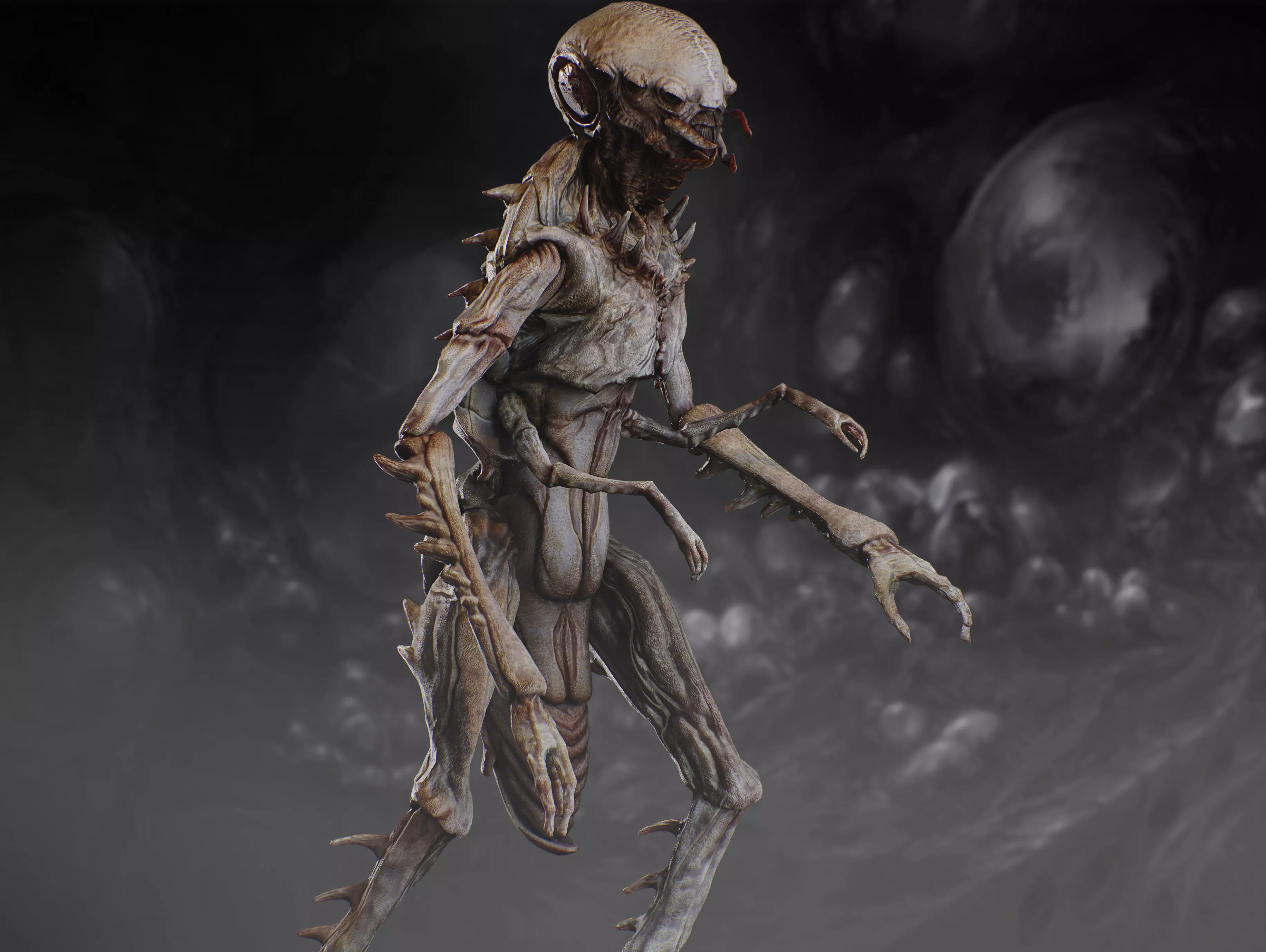 Insectamorph Low-poly 3D model_8