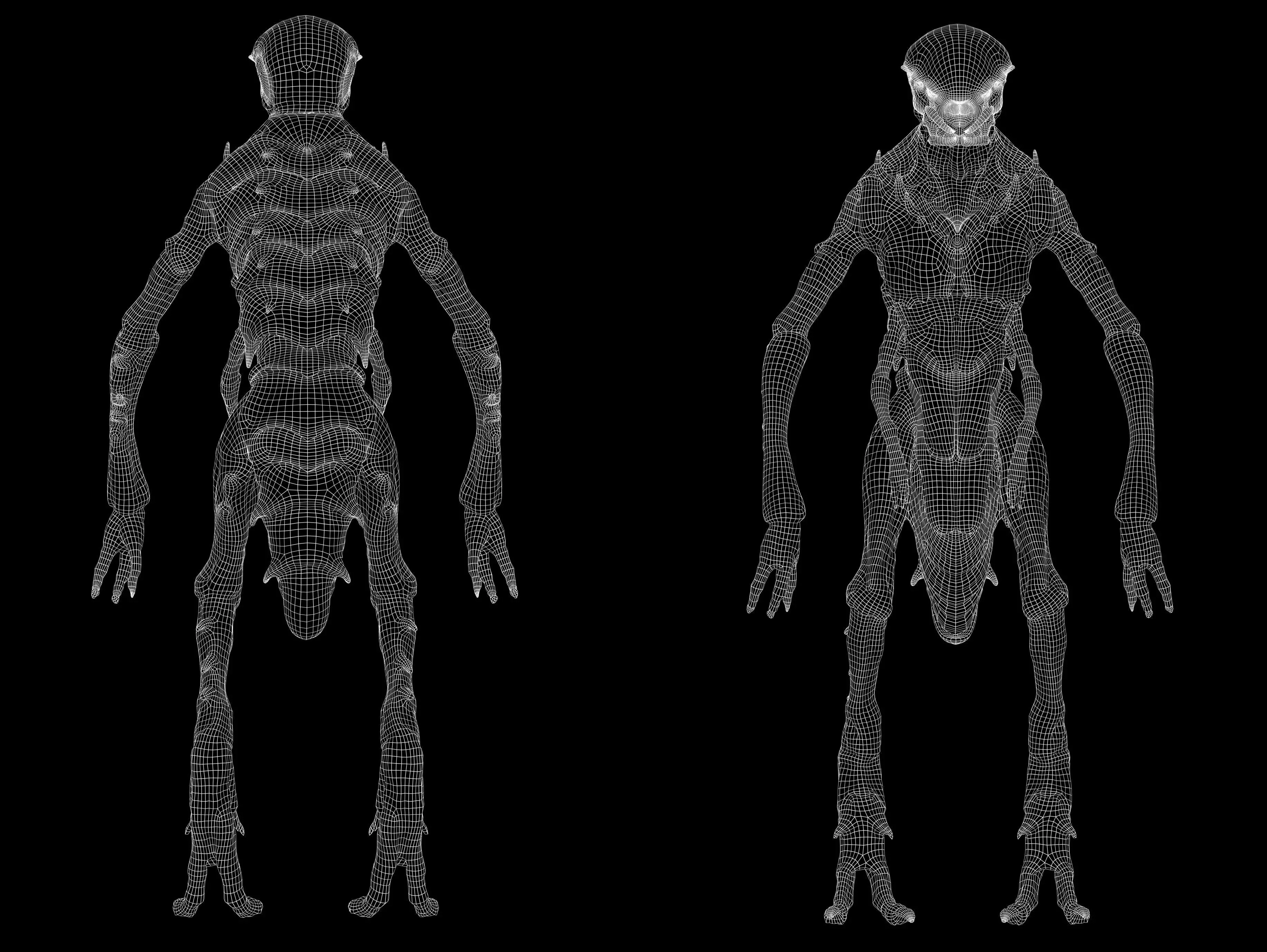 Insectamorph Low-poly 3D model_11