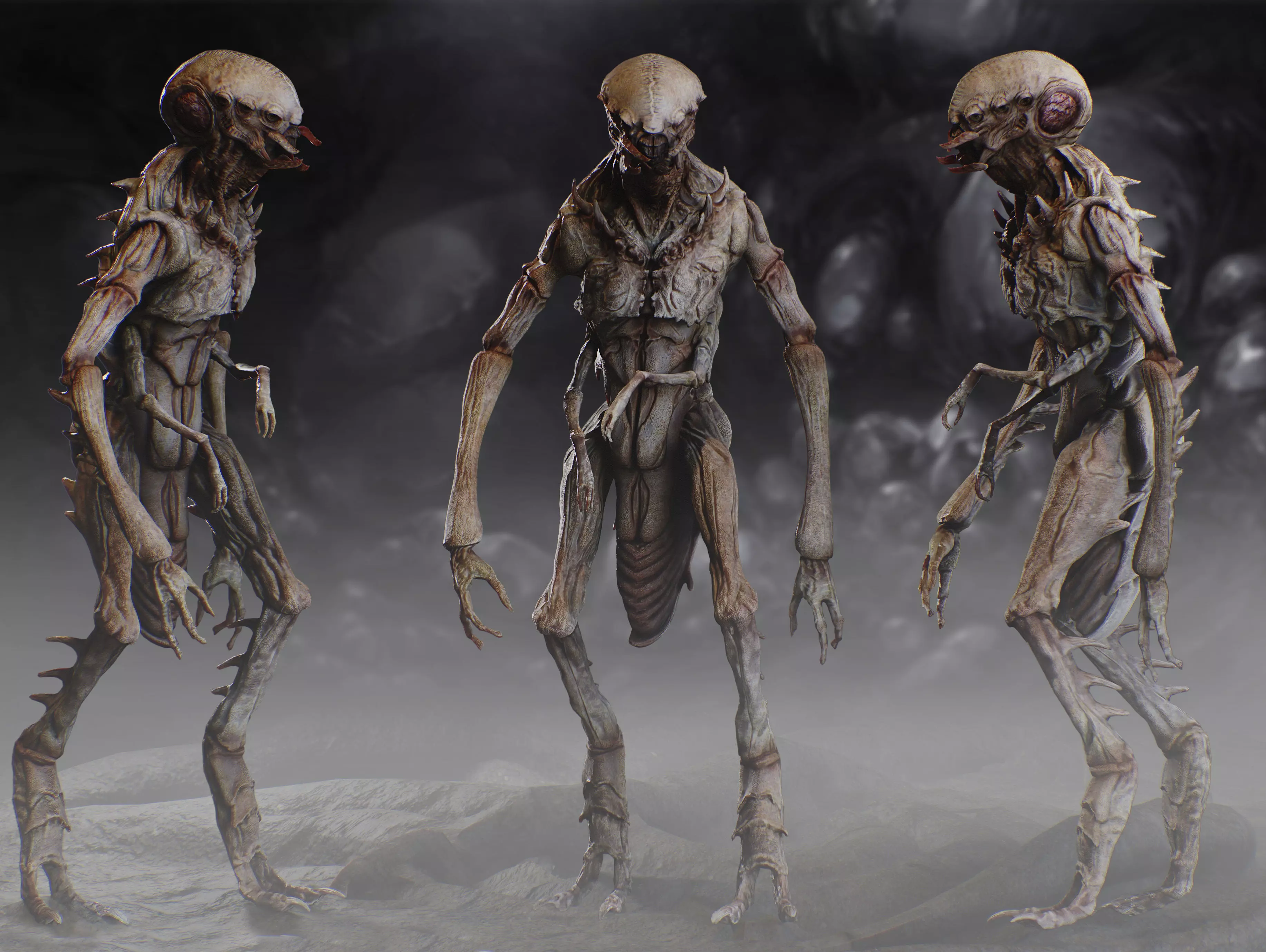 Insectamorph Low-poly 3D model_0