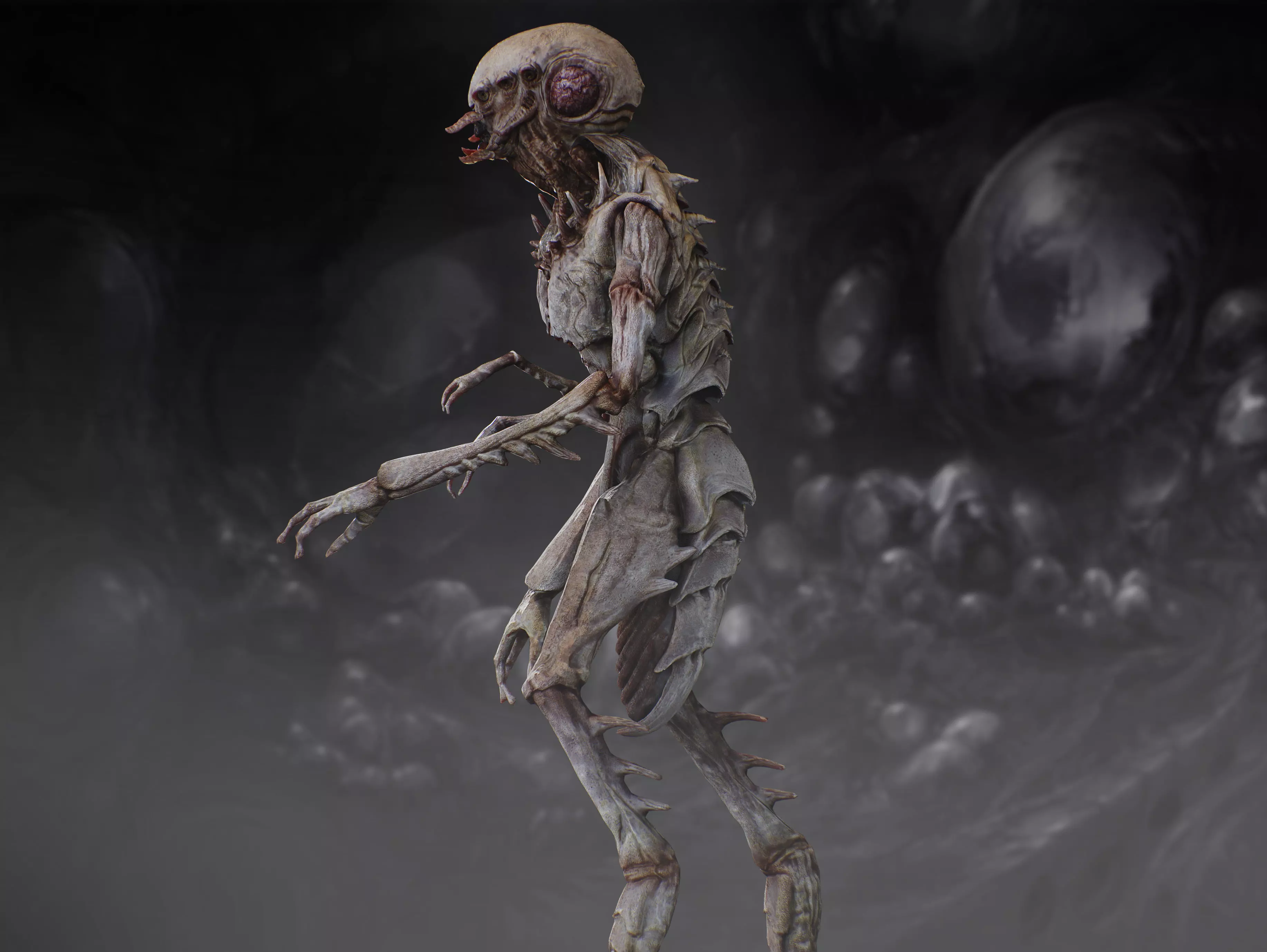 Insectamorph Low-poly 3D model_9