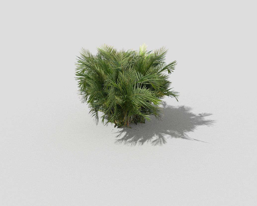 tropical plant Low-poly 3D model_5