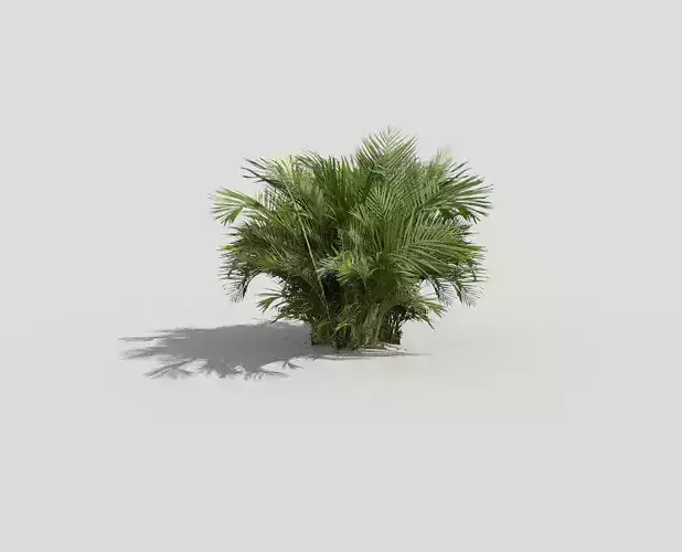 tropical plant Low-poly 3D model