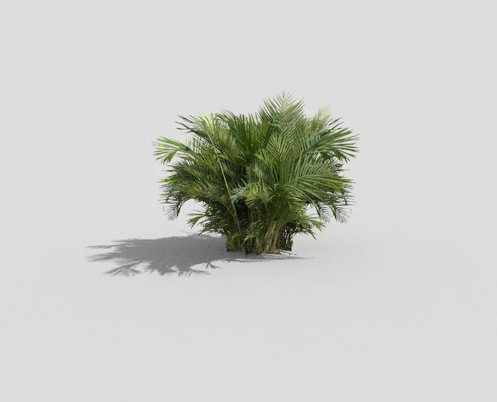 tropical plant Low-poly 3D model_0