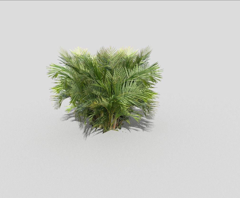 tropical plant Low-poly 3D model_2