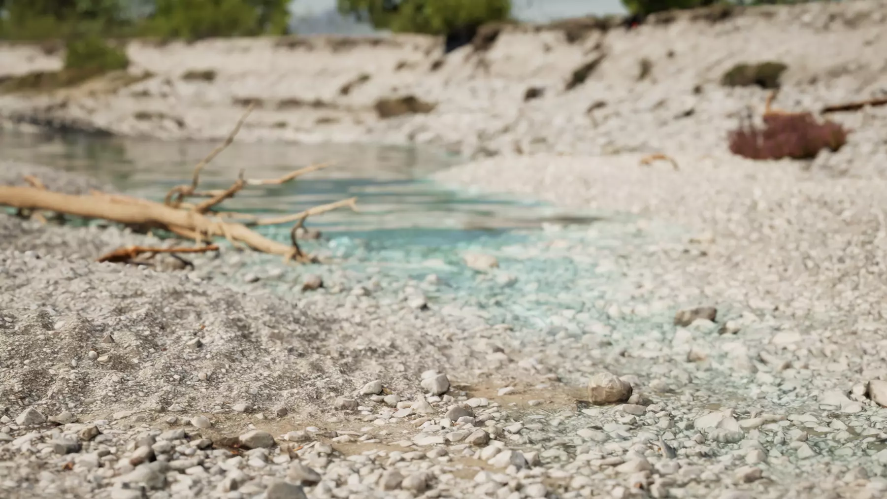 Alpine River Embankment Pack 3D Model Collection_15