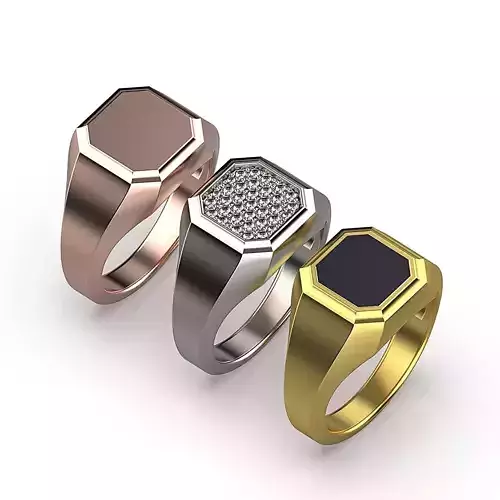 Signet Ring Collection