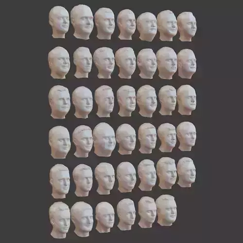 41 Realistic Male Character Heads 3D model