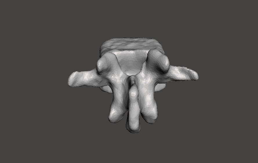 Human Lumbar Vertebra L2 - female 3D model_4