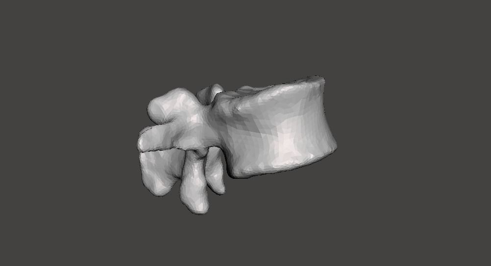 Human Lumbar Vertebra L2 - female 3D model_7