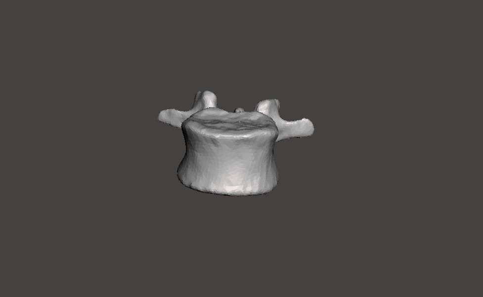 Human Lumbar Vertebra L2 - female 3D model_1