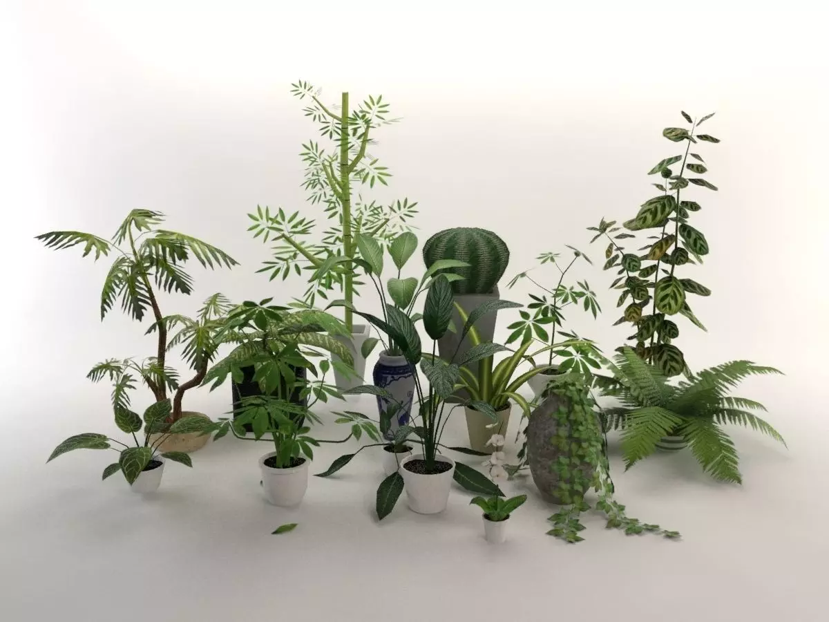 15 Office Plants Low Poly Low-poly 3D model_0