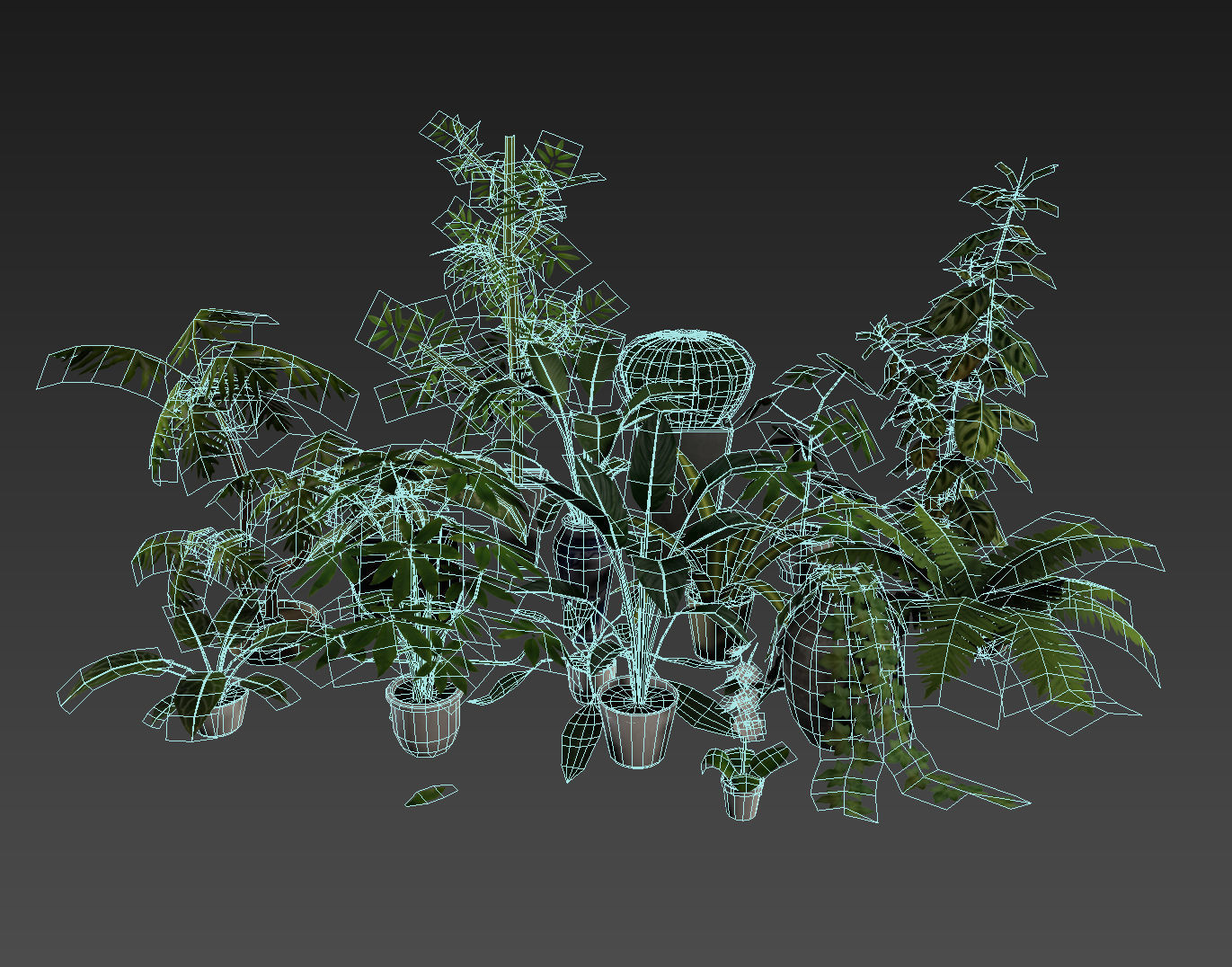 15 Office Plants Low Poly Low-poly 3D model_2