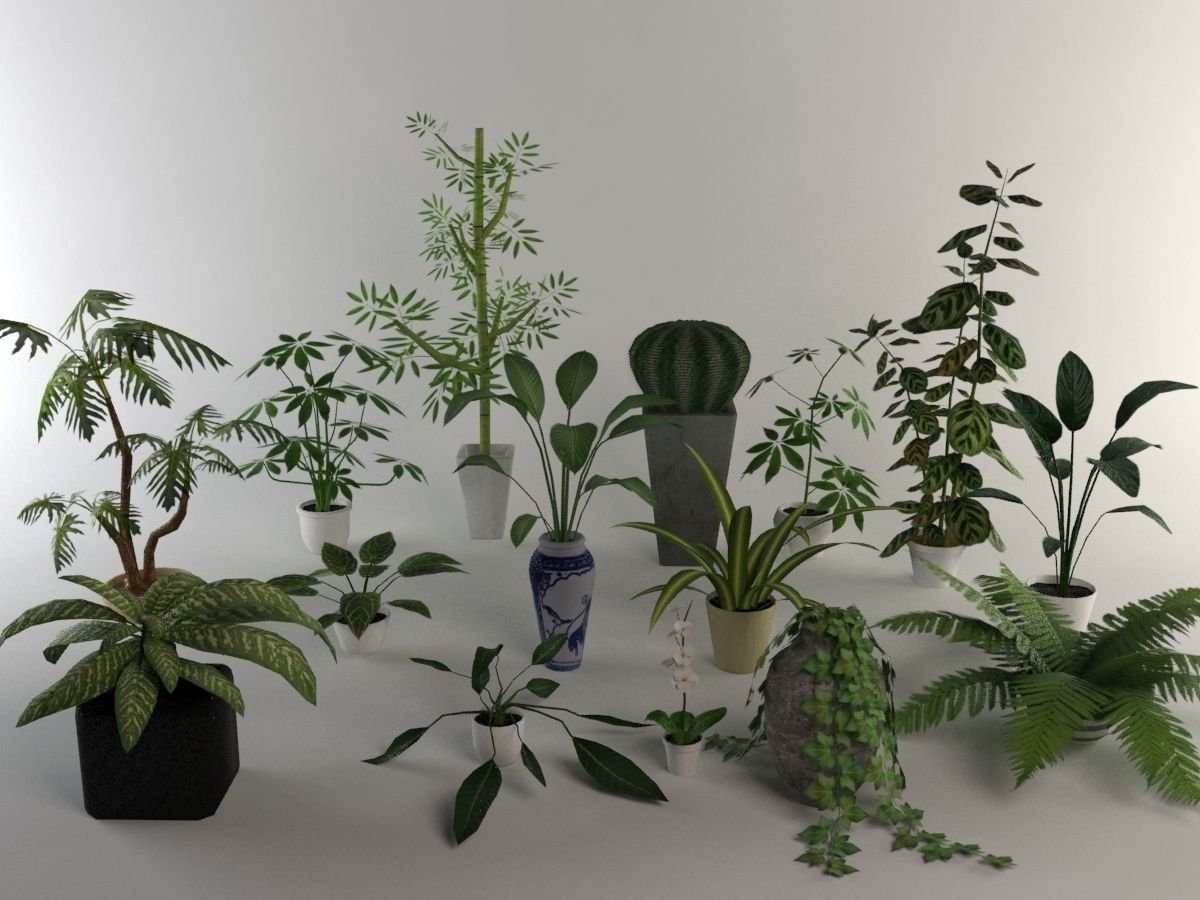 15 Office Plants Low Poly Low-poly 3D model_1