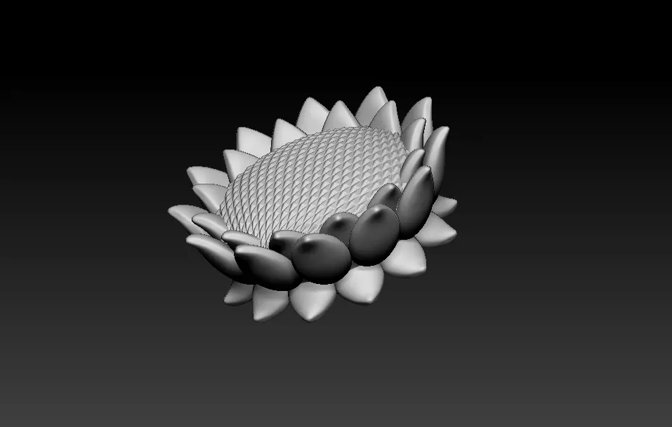 Lotus Model flower 3D print model Free 3D print model