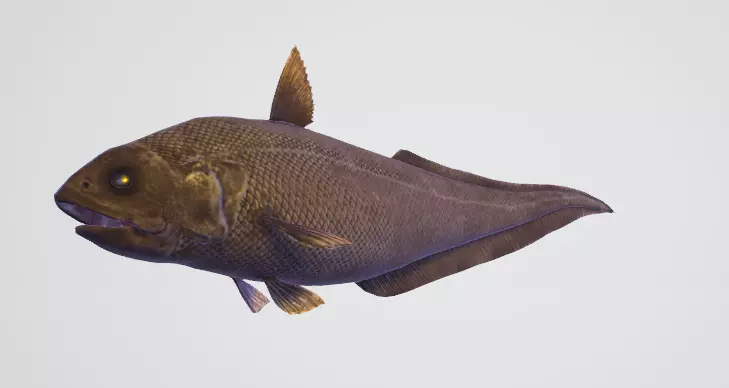 Abyssal Grenadier Deep Sea Fish  Low-poly 3D model_6