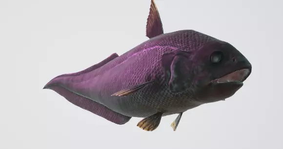 Abyssal Grenadier Deep Sea Fish  Low-poly 3D model_5