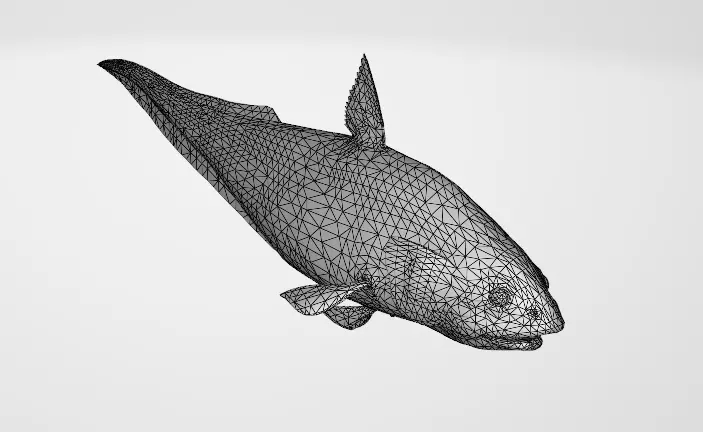 Abyssal Grenadier Deep Sea Fish  Low-poly 3D model_3