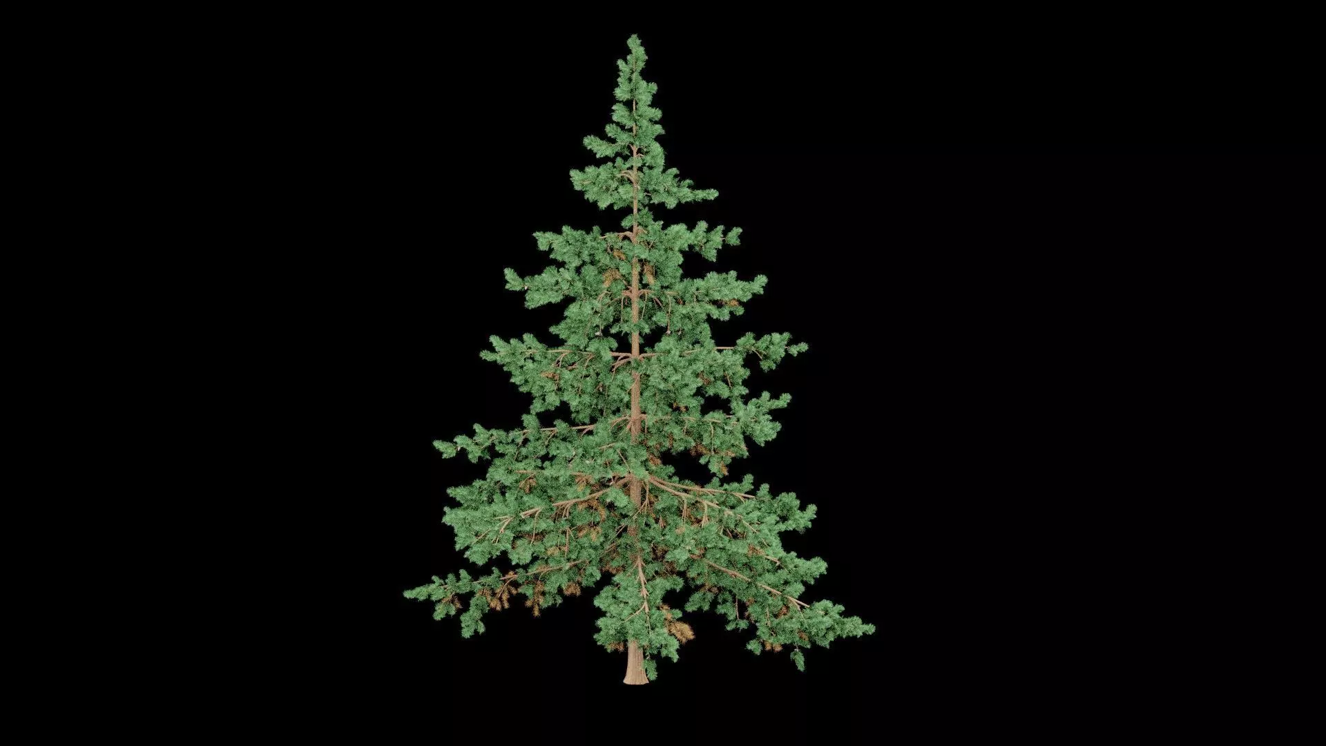 Realistic Pine Tree Low-poly 3D model_3