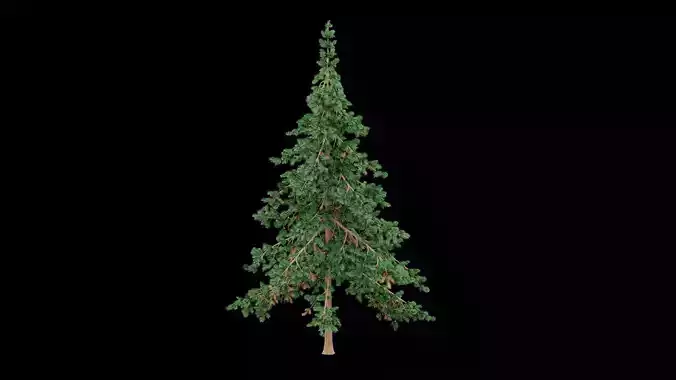 Realistic Pine Tree