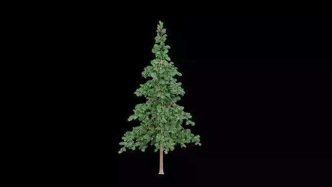 Realistic Pine Tree