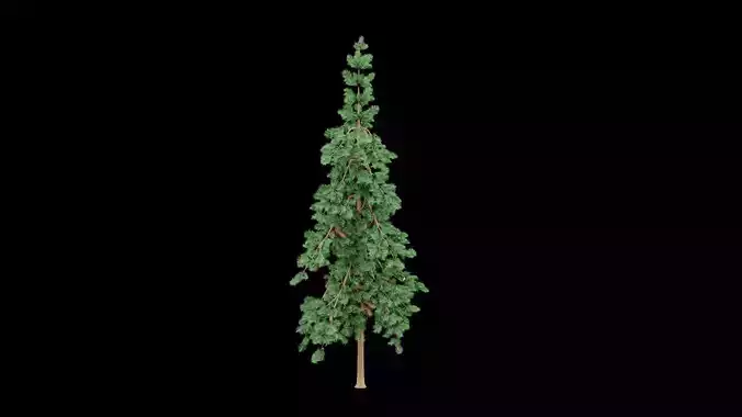 Realistic Pine Tree