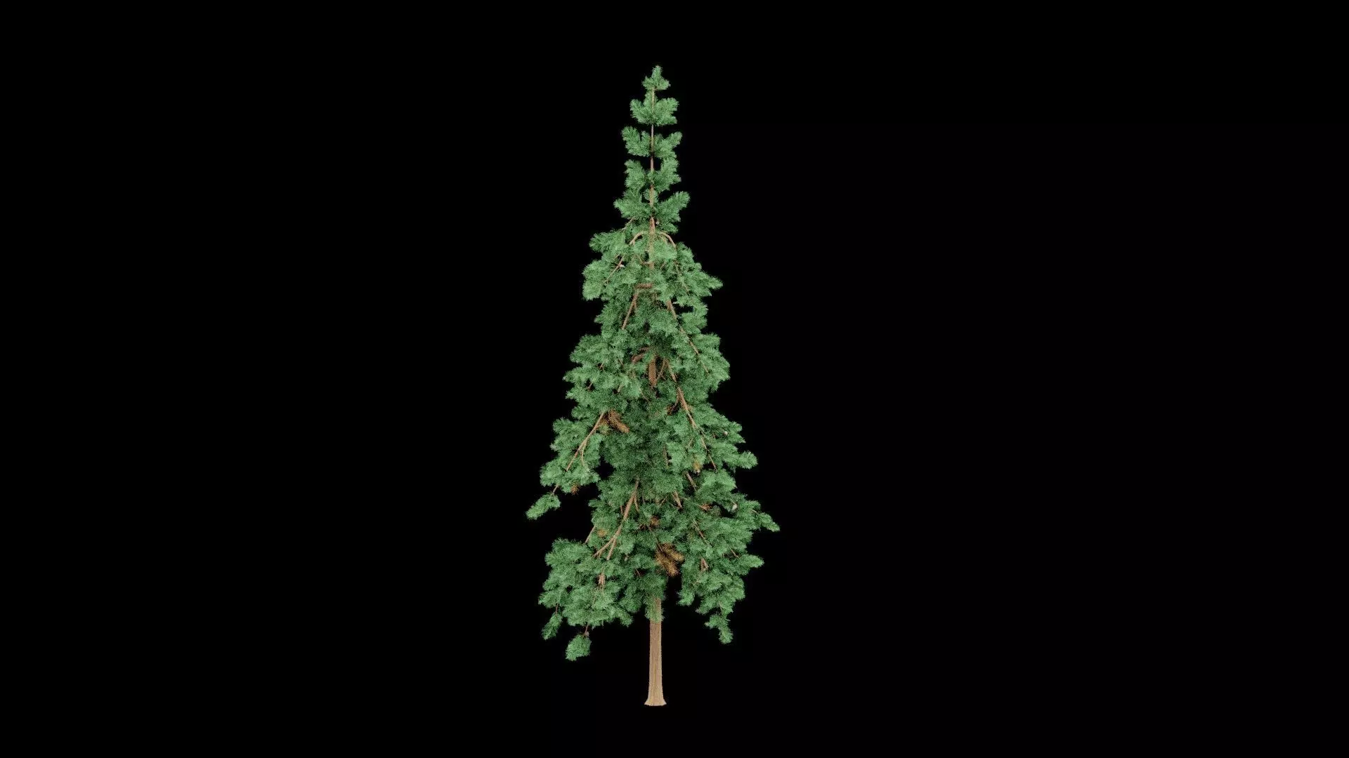 Realistic Pine Tree Low-poly 3D model_0