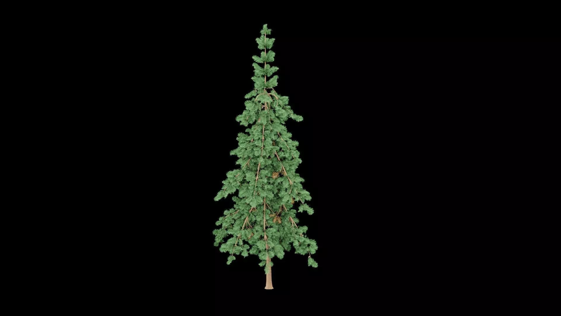 Realistic Pine Tree Low-poly 3D model_3