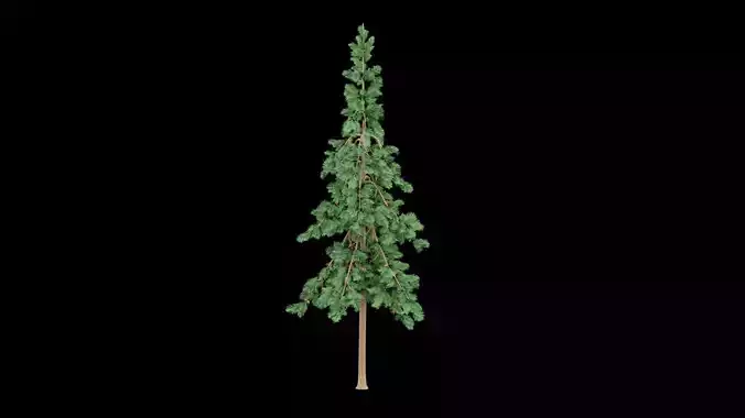 Realistic Pine Tree