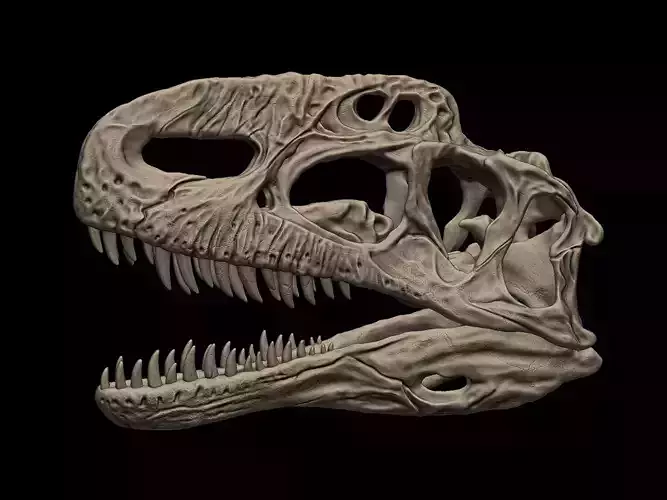 Monolophosaurus Skull 