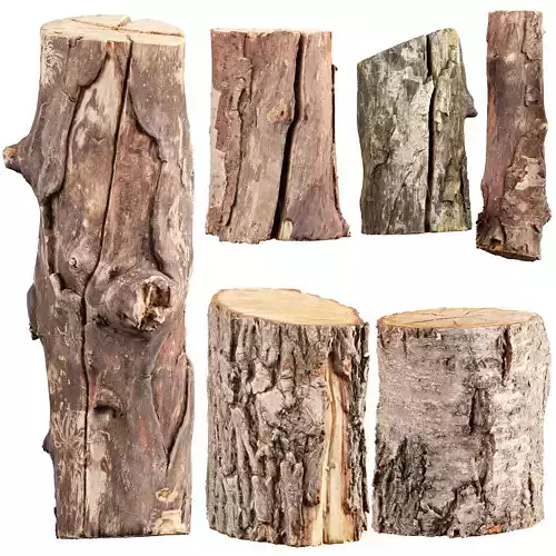 3D Scanned Logs Collection Vol 04- 3D Logs Low-poly 3D model