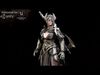 The Valkyrie Low-poly 3D model_1