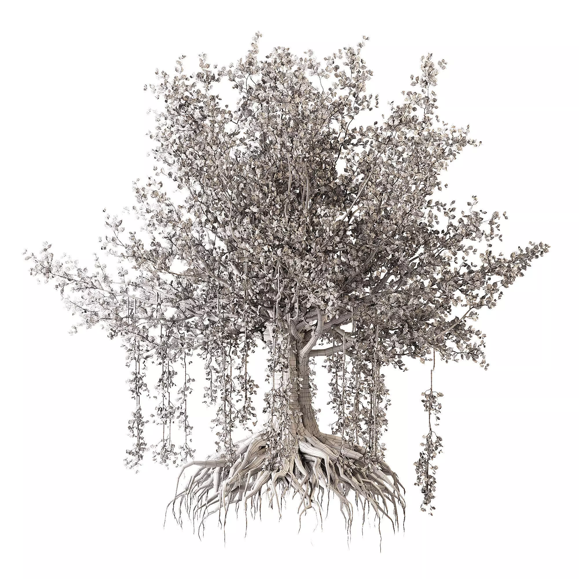 Banian tree 3D model_4