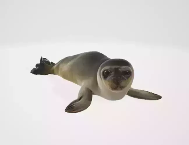 Realistic Seal 