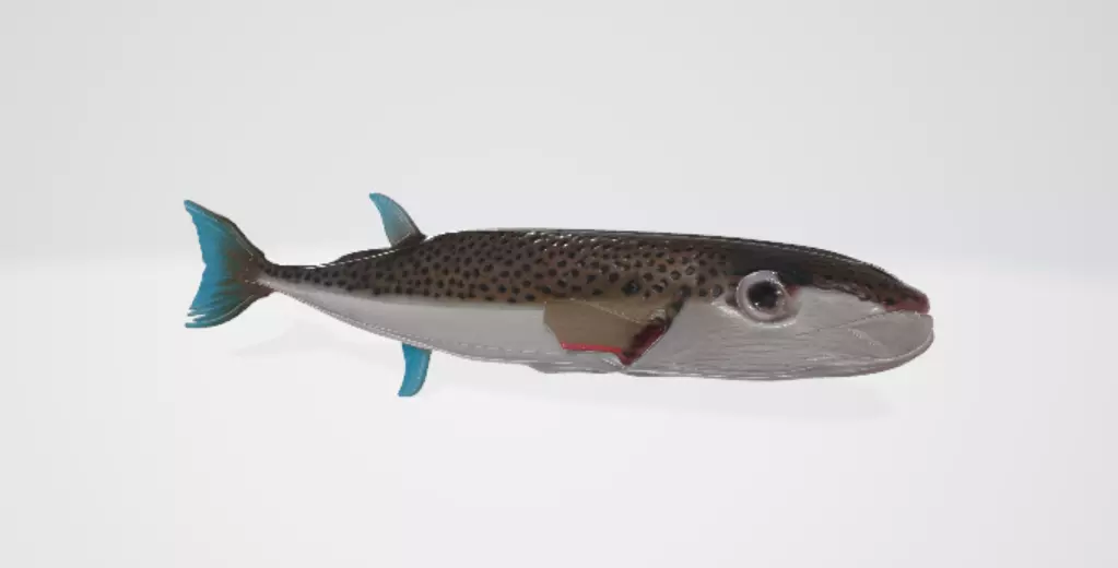 Puffer fish 3D model