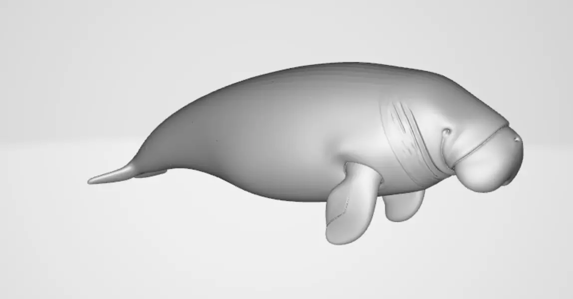 Dugongo 3D model_3