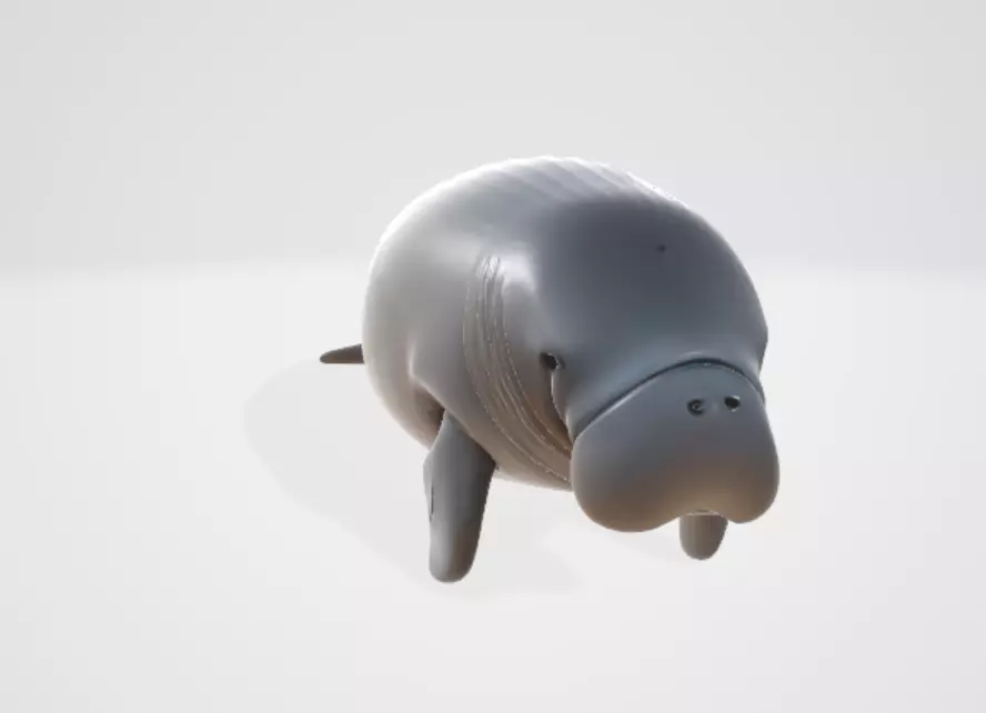 Dugongo 3D model_2