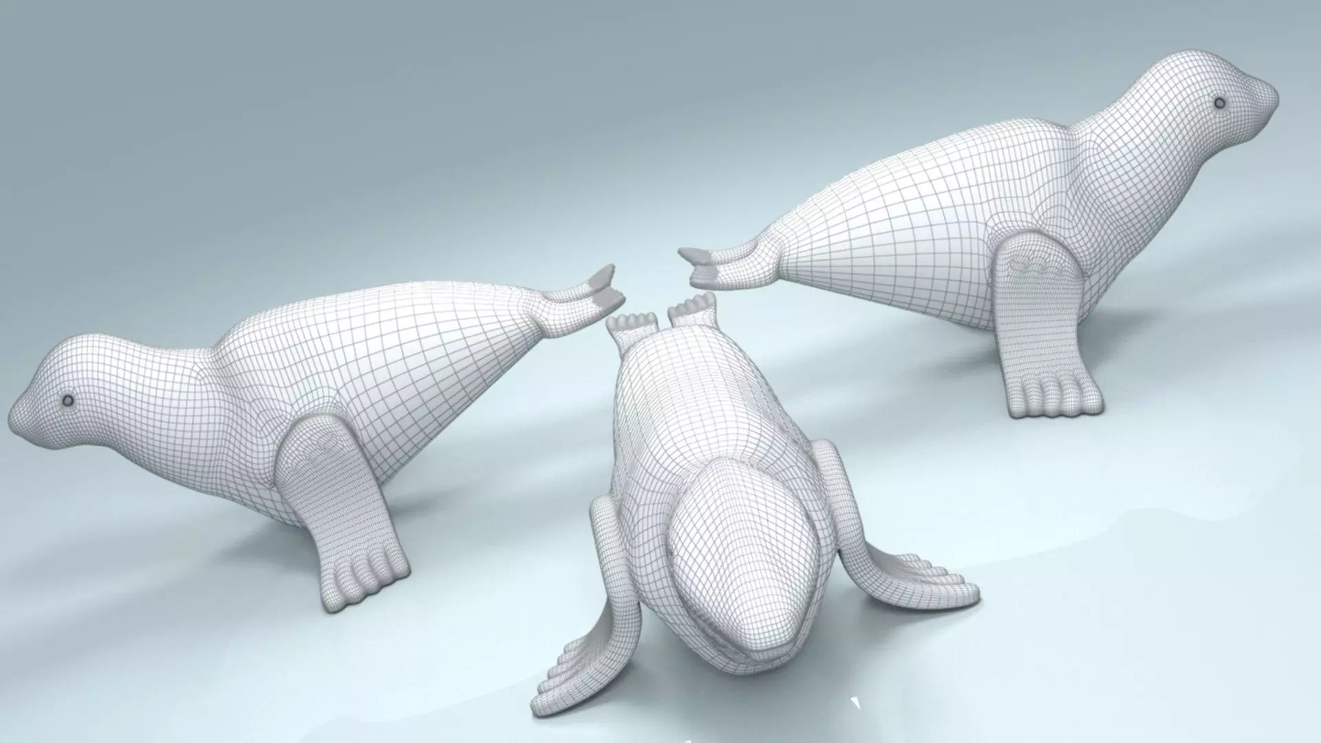 Seal Animal 3D model_6