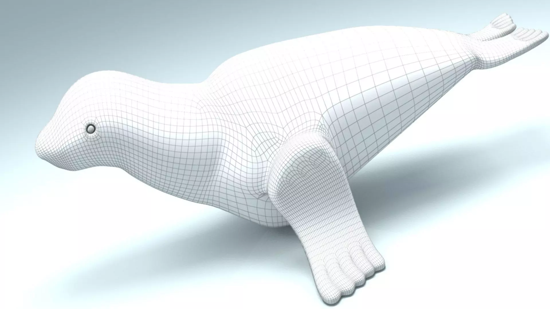 Seal Animal 3D model_8