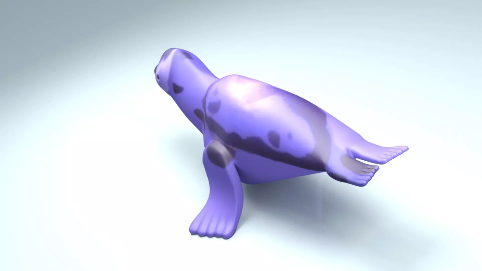 Seal Animal 3D model_3