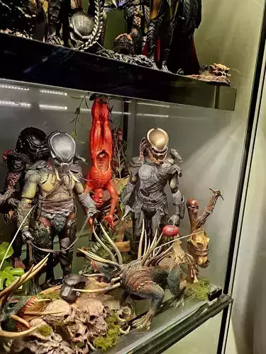 Flayed Trophy Victim for Predator Displays