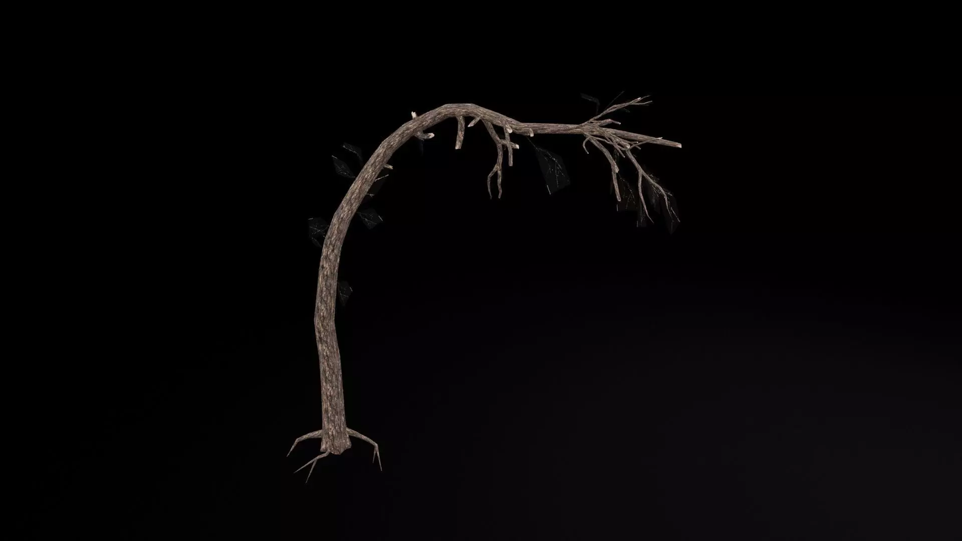 Dead Tree Low-poly 3D model_7